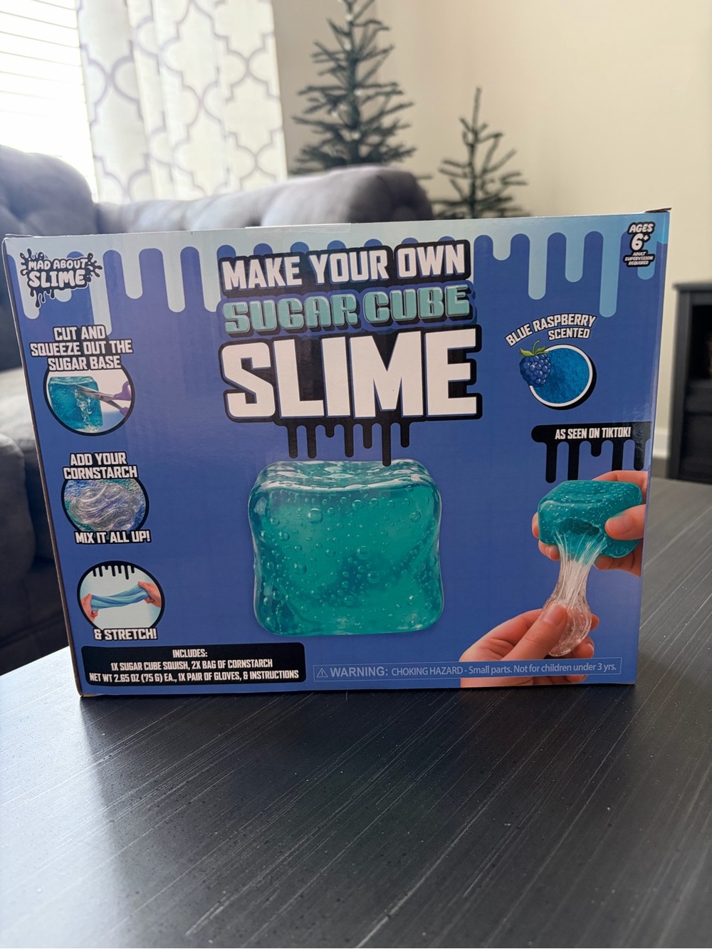 RMS “Mad About Slime” Make Your Own Sugar Cube Slime Kit